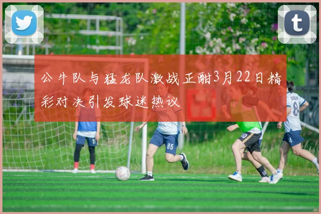 公牛队与猛龙队激战正酣3月22日精彩对决引发球迷热议