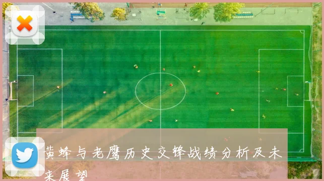 黄蜂与老鹰历史交锋战绩分析及未来展望