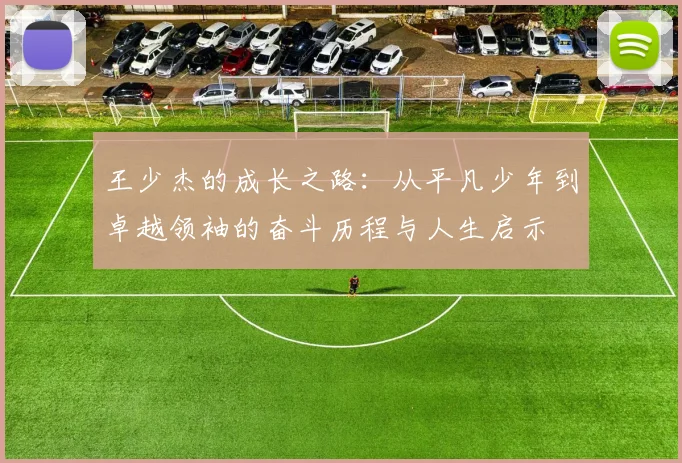 王少杰的成长之路：从平凡少年到卓越领袖的奋斗历程与人生启示